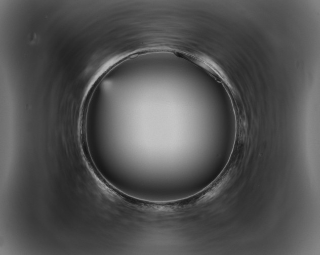 X0000087751101200705071108