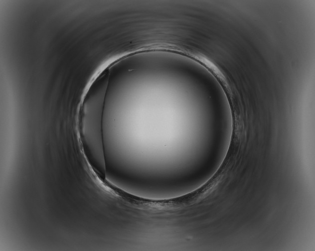X0000087751102200705071108