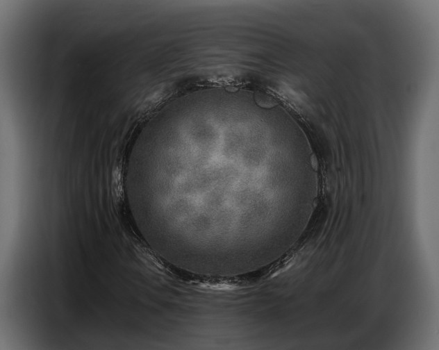 X0000087751106200705071107