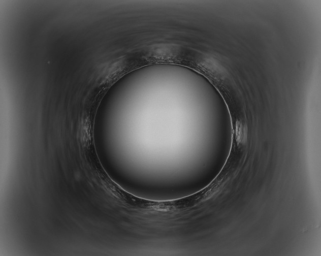 X0000087751107200705071107