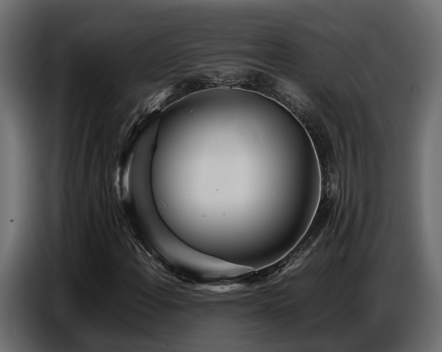 X0000087751108200705071107