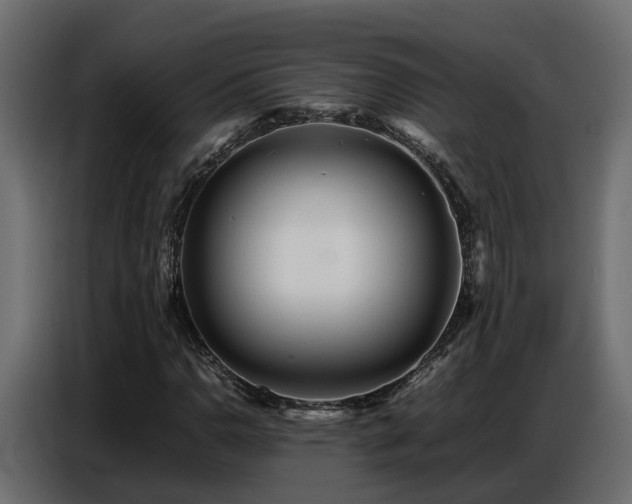 X0000087751110200705071107