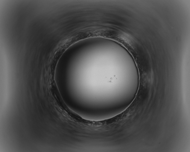 X0000087751111200705071107