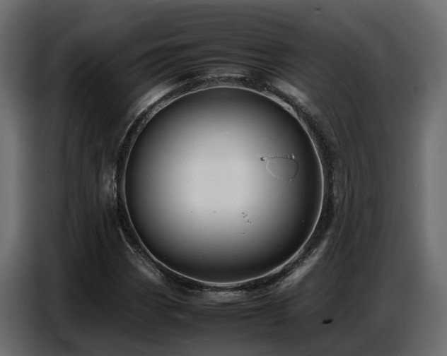 X0000087751113200705071107