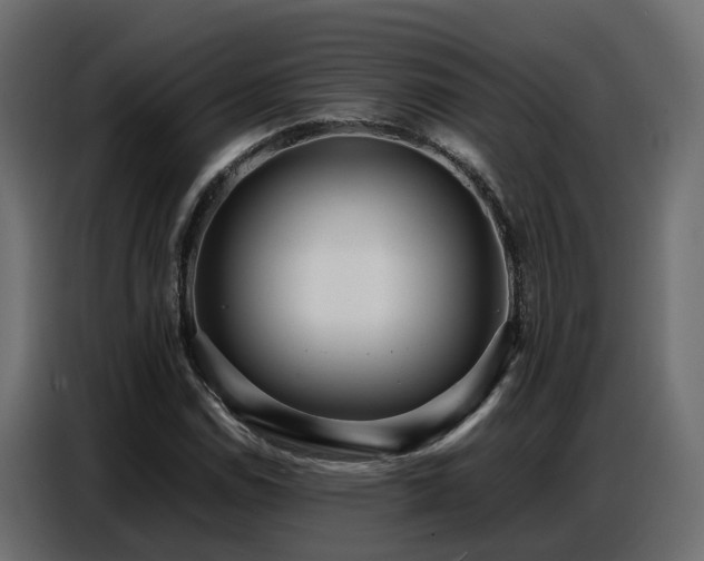 X0000087751114200705071107