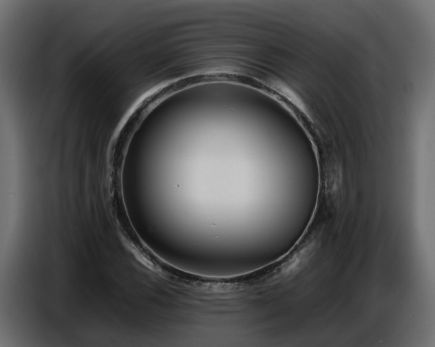 X0000087751116200705071107