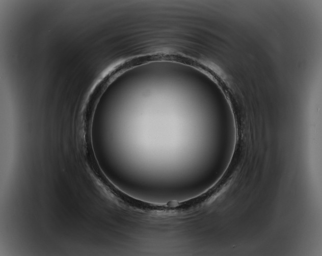X0000087751118200705071107