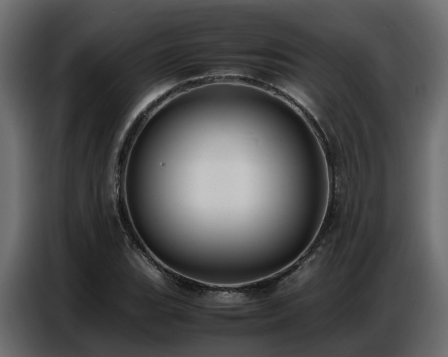 X0000087751119200705071107