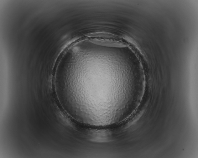 X0000087751121200705071107