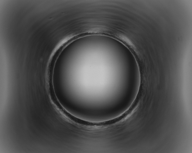 X0000087751122200705071107
