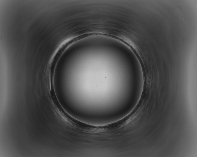 X0000087751123200705071108