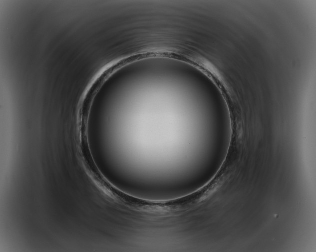 X0000087751124200705071108