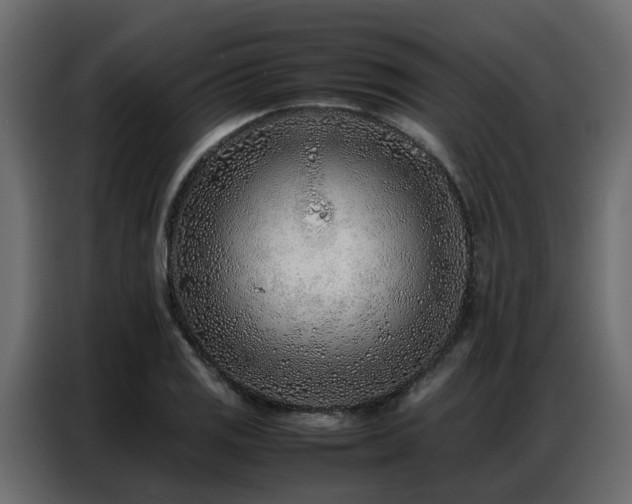 X0000087751125200705071108