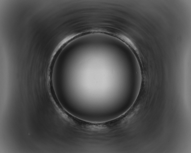 X0000087751133200705071108