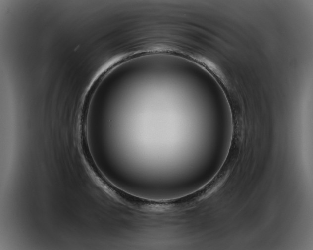 X0000087751134200705071108