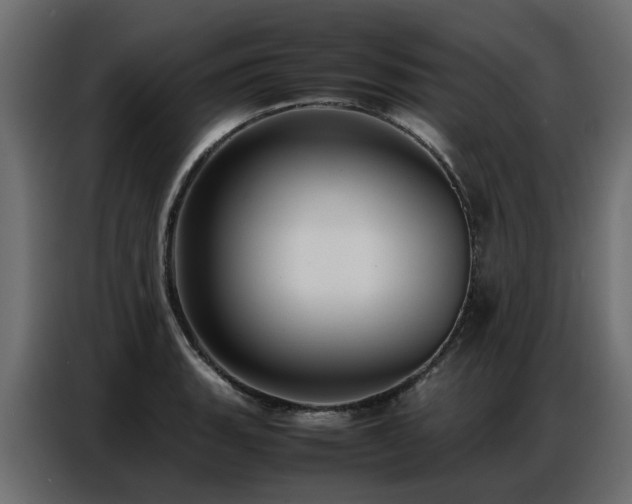X0000087751135200705071108