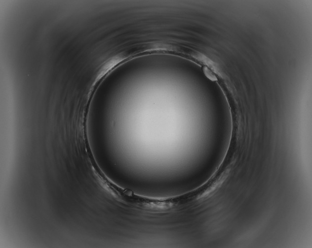 X0000087751137200705071108