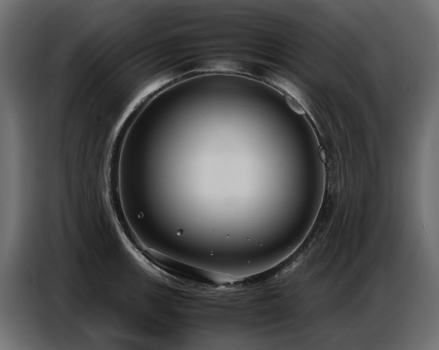 X0000087751139200705071108
