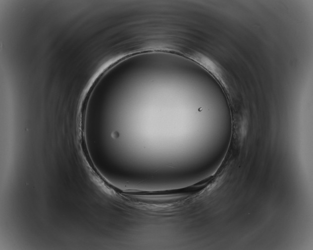 X0000087751140200705071108