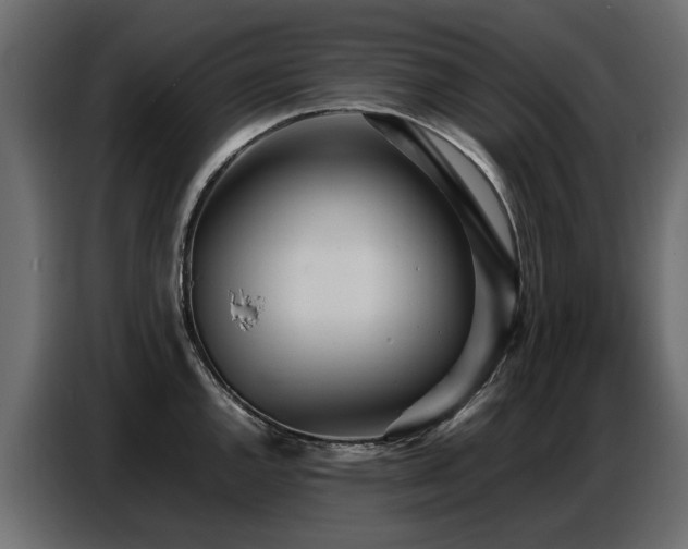 X0000087751144200705071108