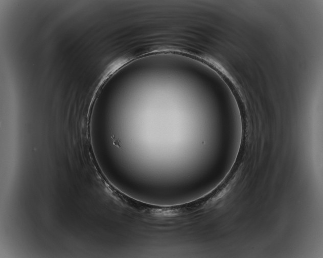 X0000087751145200705071108