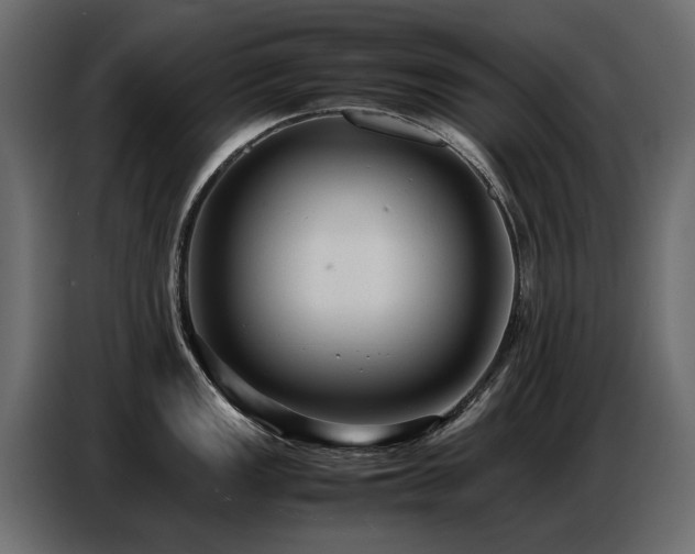 X0000087751149200705071108