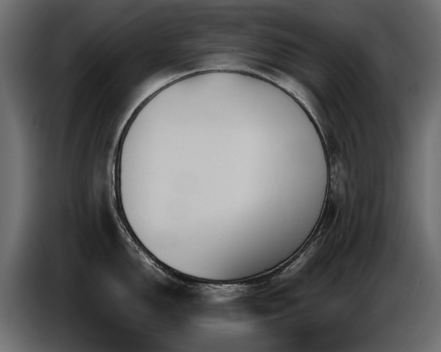 X0000087751150200705071108