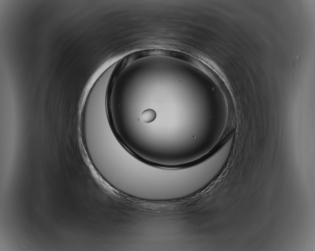 X0000087751152200705071108