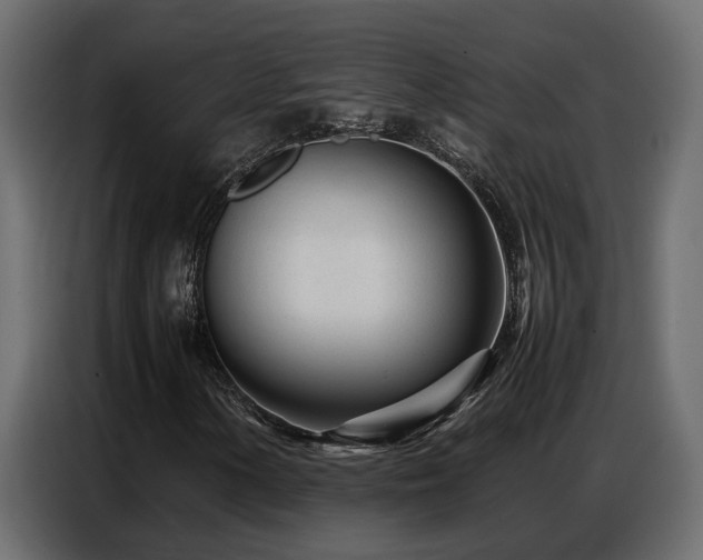 X0000087751154200705071107