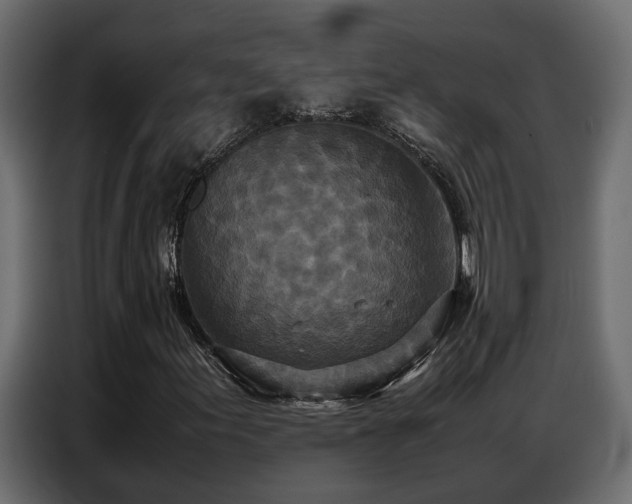 X0000087751155200705071107