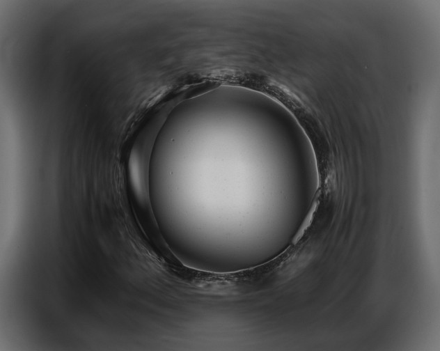 X0000087751156200705071107