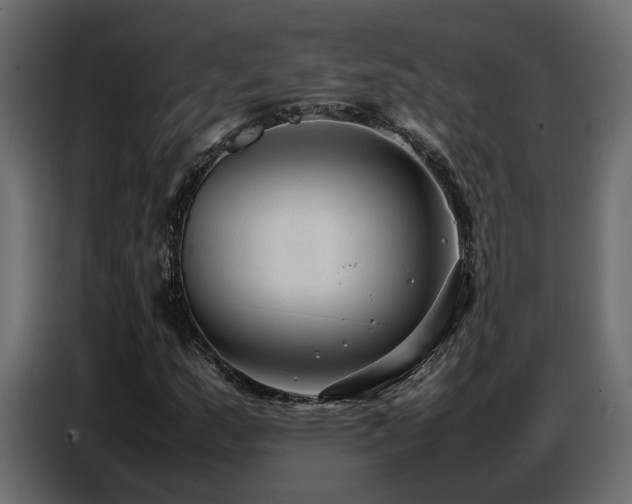 X0000087751159200705071107