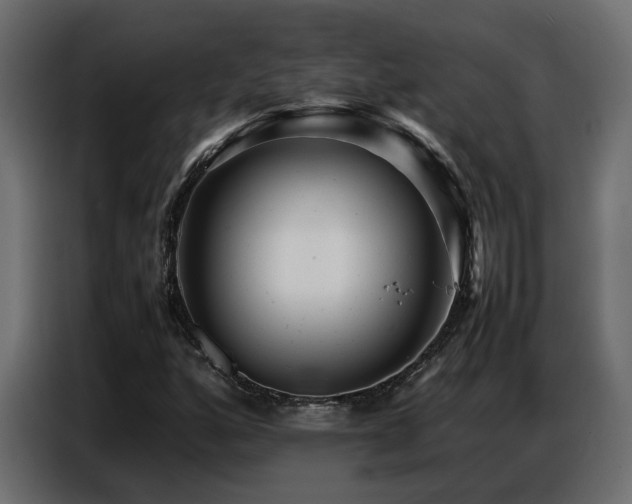 X0000087751160200705071107