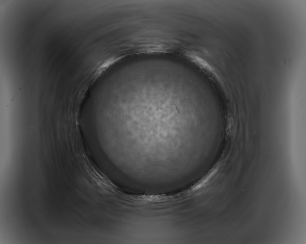 X0000087751161200705071107