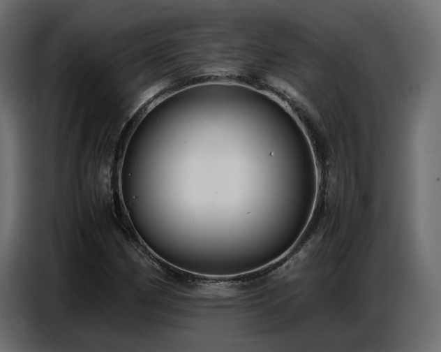 X0000087751162200705071107