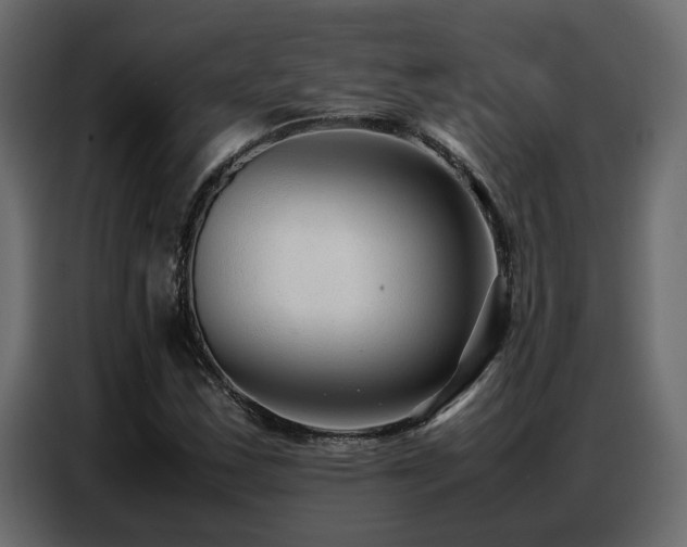 X0000087751163200705071107