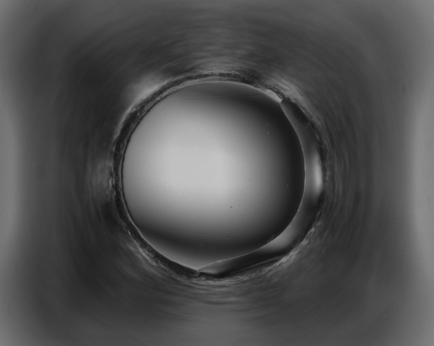 X0000087751164200705071107