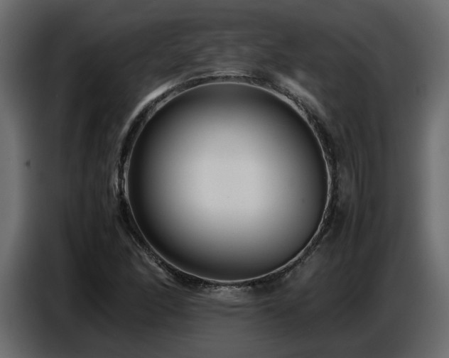 X0000087751166200705071107