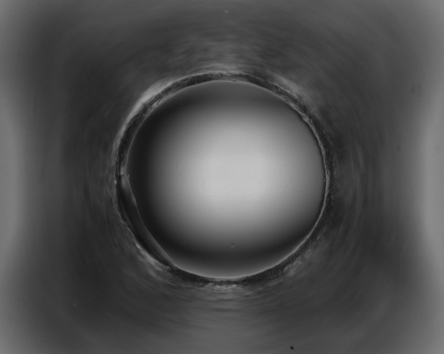 X0000087751168200705071107