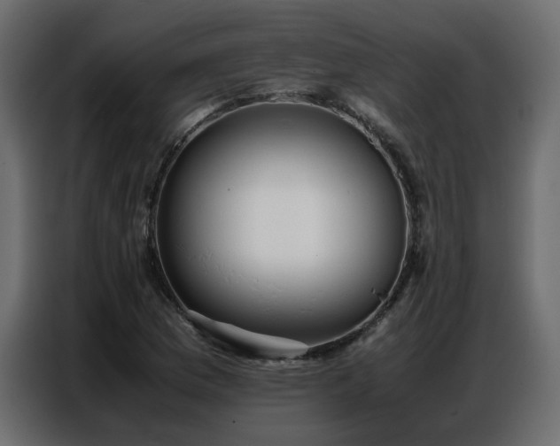 X0000087751169200705071107