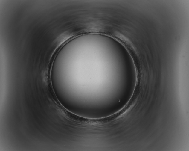 X0000087751170200705071107