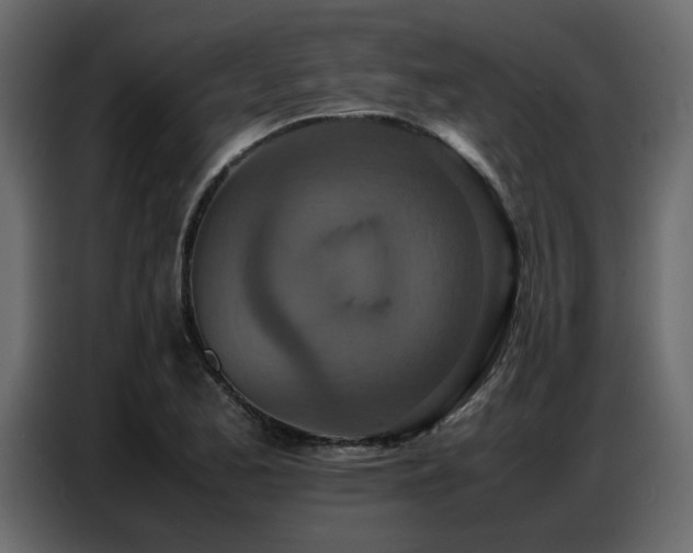 X0000087751173200705071107