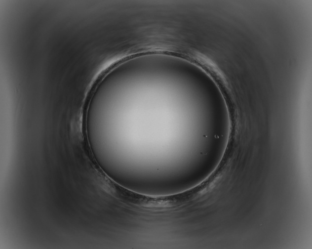 X0000087751174200705071107
