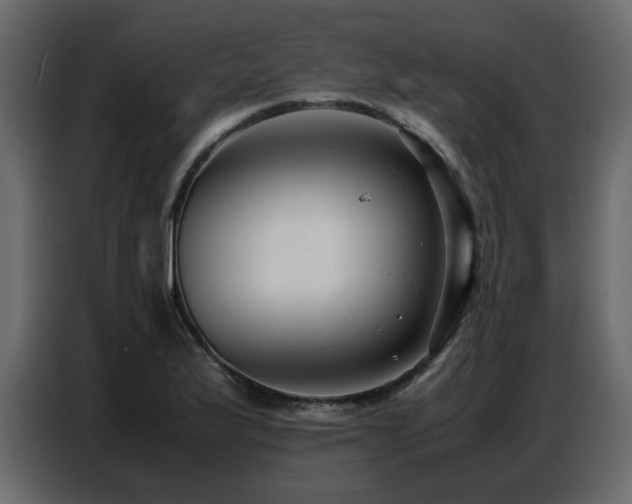 X0000087751175200705071107