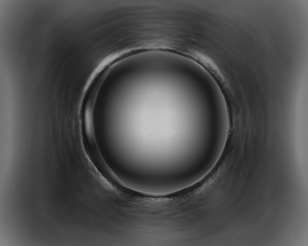 X0000087751184200705071107