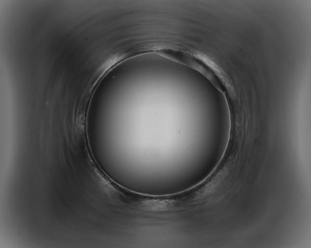 X0000087751185200705071107