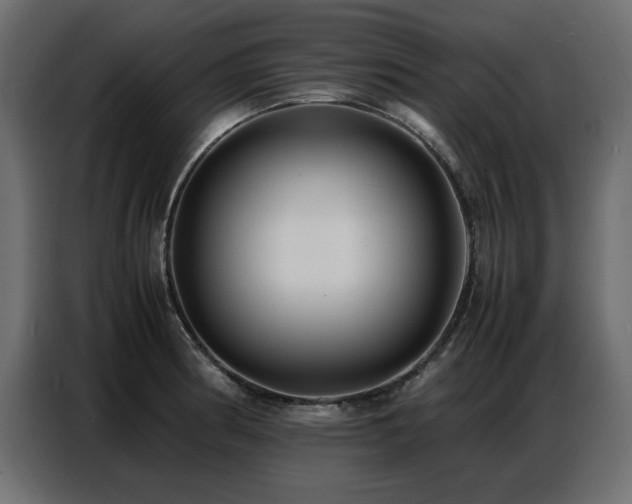 X0000087751186200705071107