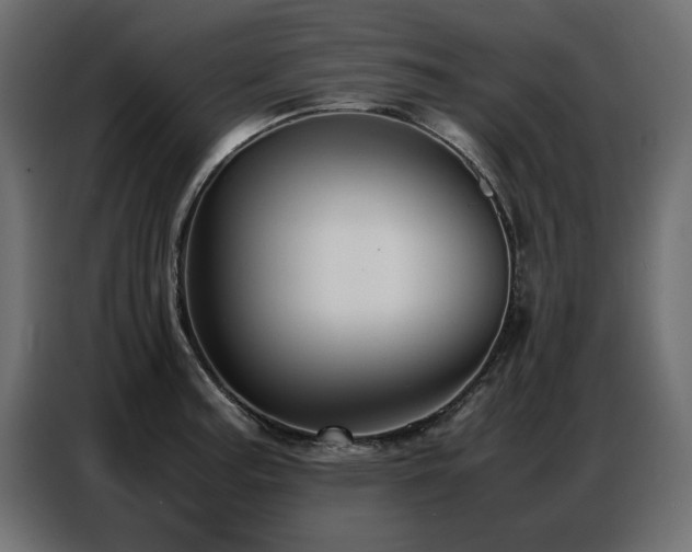 X0000087751187200705071107