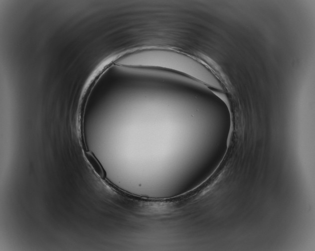 X0000087751188200705071107