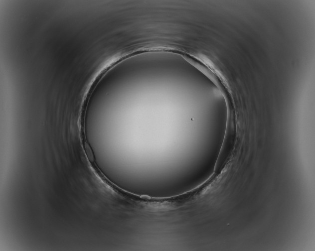 X0000087751189200705071107